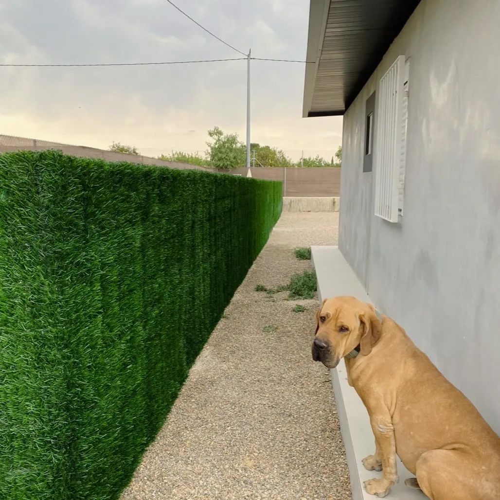 Fotografía que nos ha enviado una clienta de 30820- Alcantarilla (Murcia) después de realizar el montaje de nuestro Seto Artificial Nacional, el resultado es extraordinario.