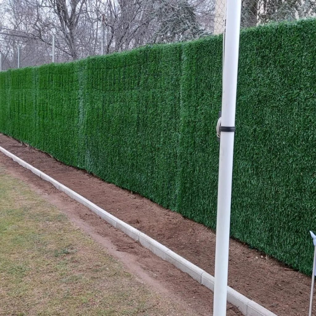 Seto Artificial Nacional en la valla metálica del jardín de un cliente.