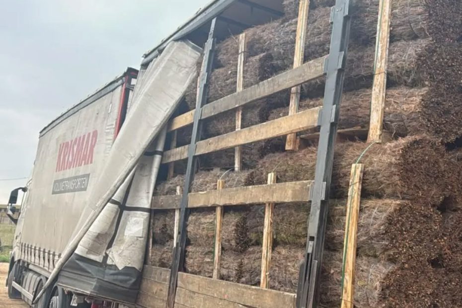 Trailer doble de rollos de Brezo Natural para una empresa de Bélgica