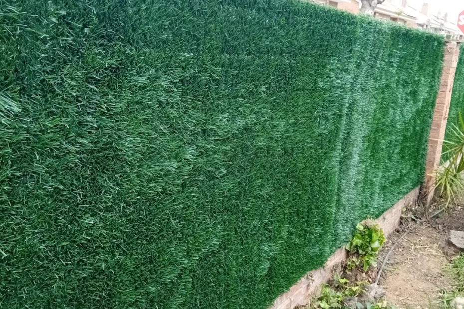 Valla de un jardín antes y después de nuestro Seto Artificial Nacional