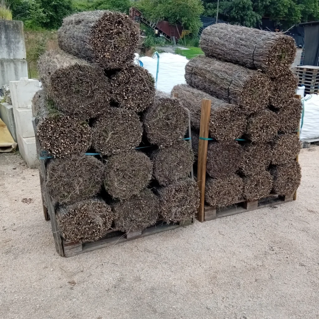 Varios pedidos de brezo natural entregados a domicilio