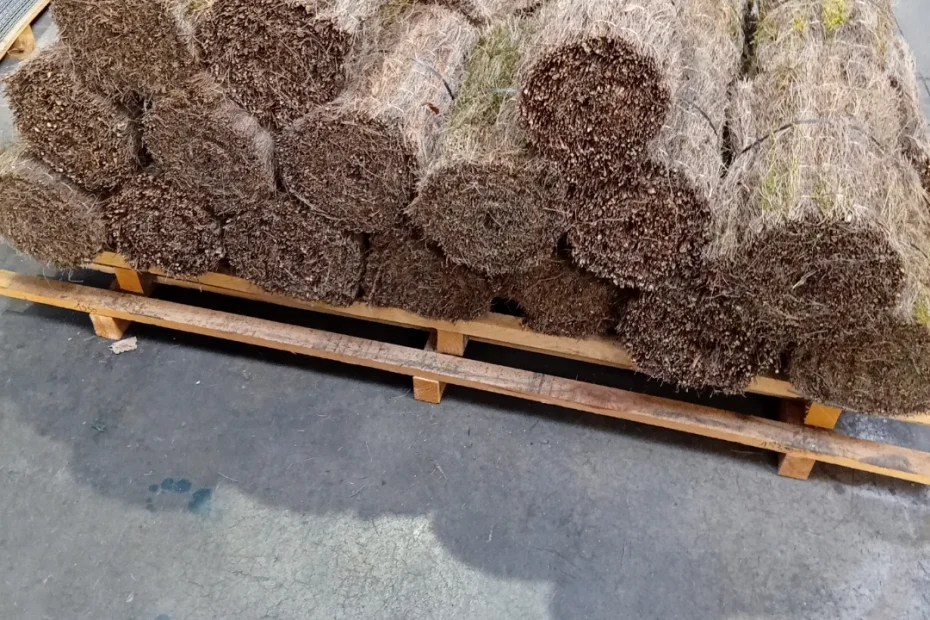 Brezo Natural para vallas de jardín