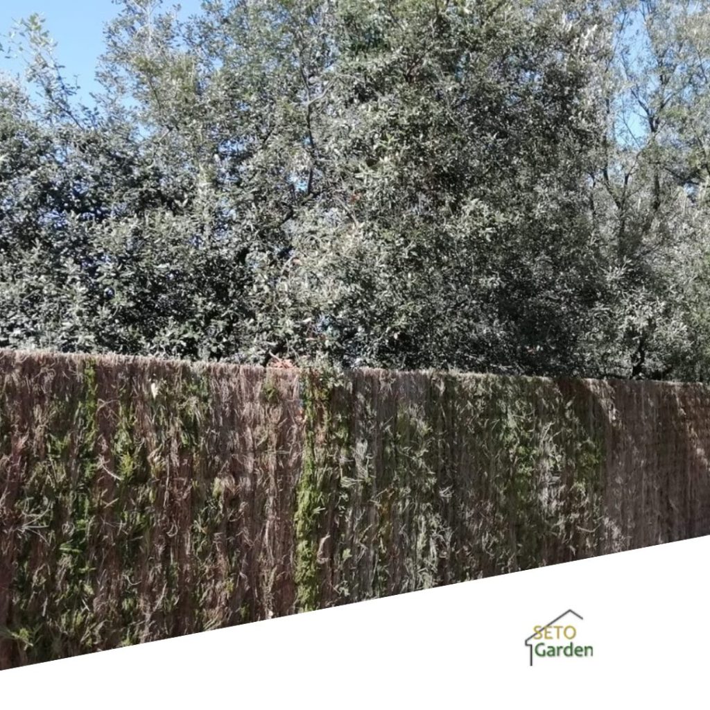 Tu jardín, tu refugio secreto