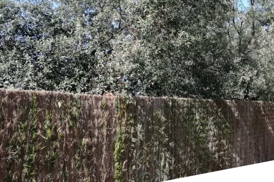 Tu jardín, tu refugio secreto