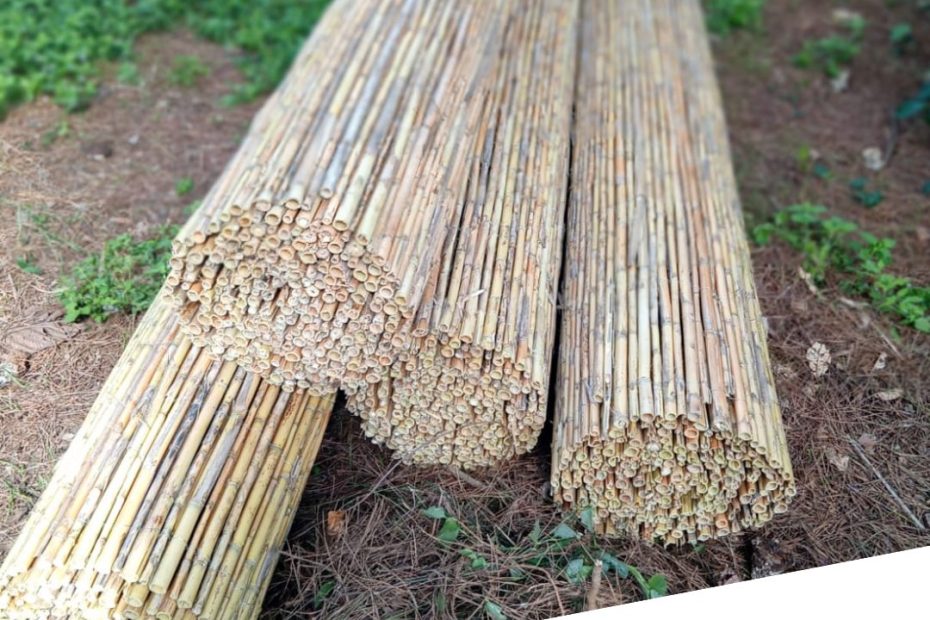 Caña natural entera calidad premium