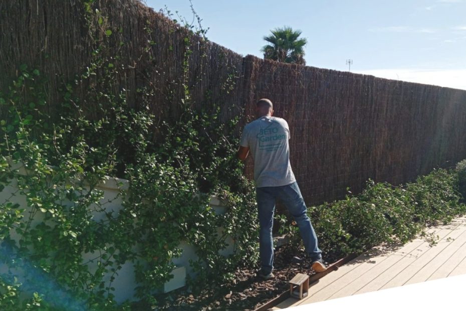 Brezo natural 100% nacional