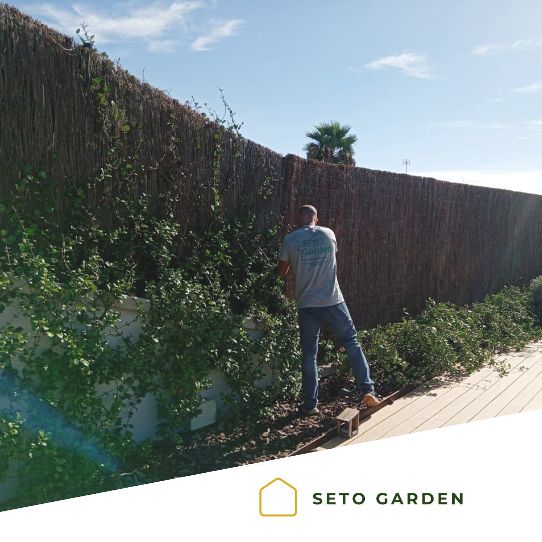 Brezo natural 100% nacional