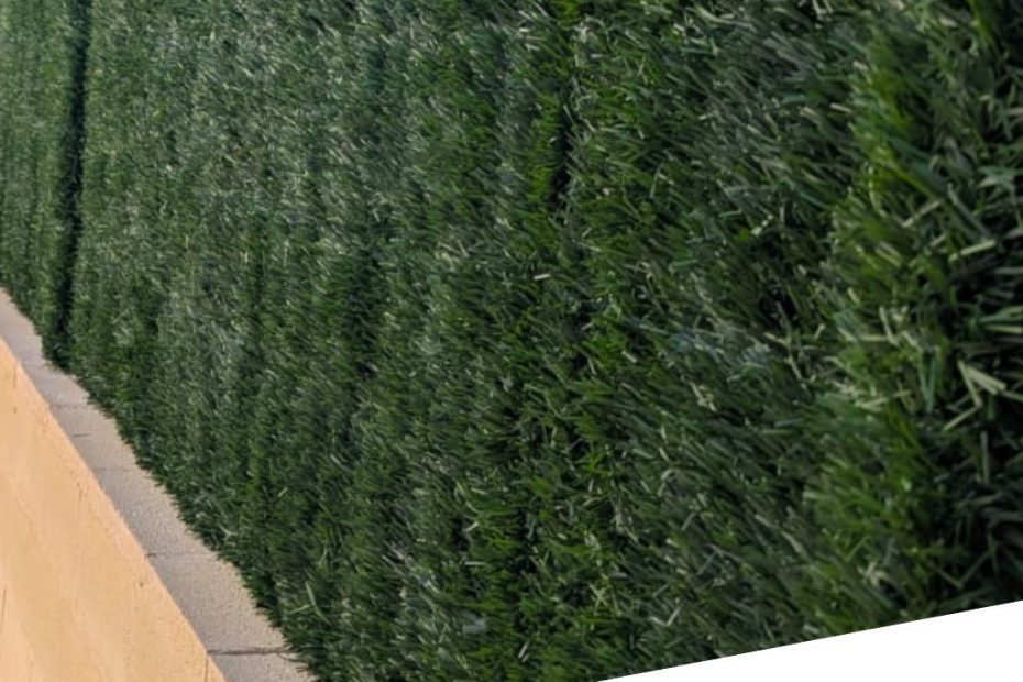 Seto Doble Hoja Seto Garden