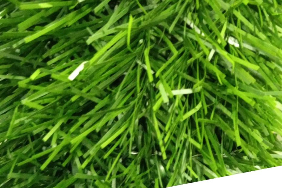 ¡Mira de cerca nuestro seto artificial!