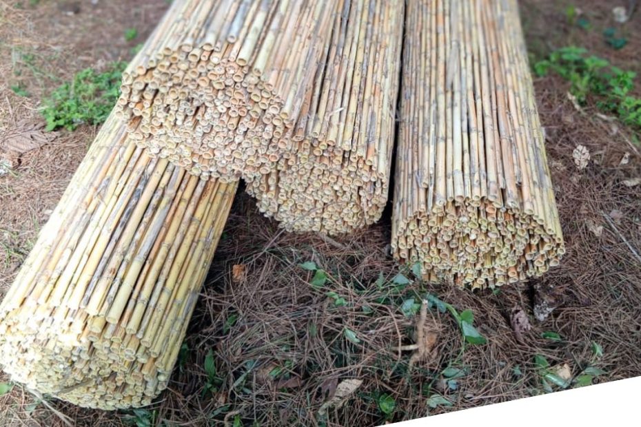 Terraza en otro nivel: caña entera premium