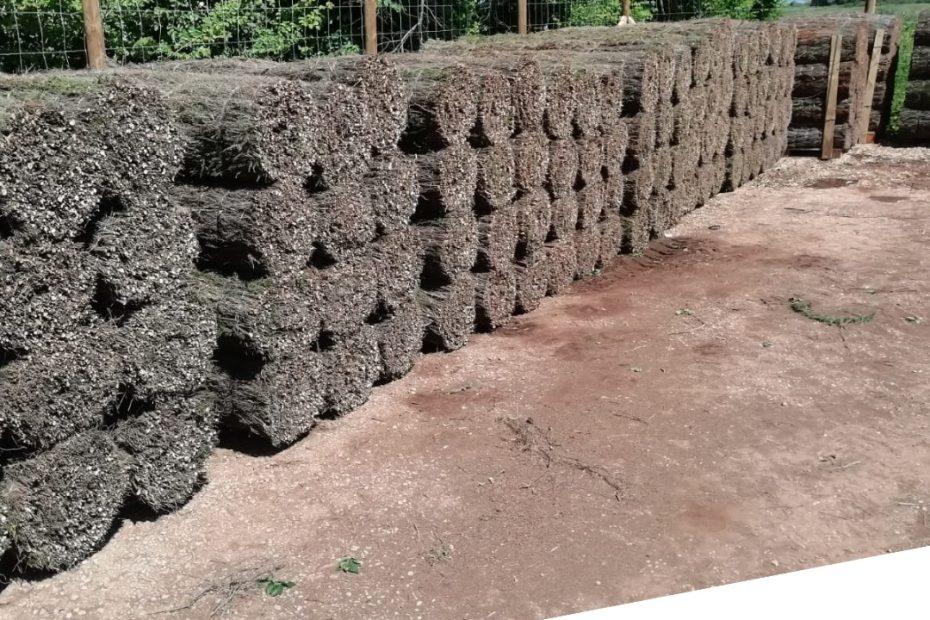 ¡El verano ya está aquí y nuestros rollos de brezo natural también están listos para salir hacia su nuevo hogar!