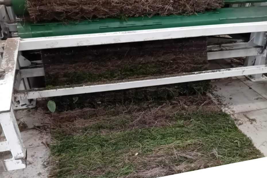 ¿Quieres ver cómo se fabrica el brezo natural que llega a tu jardín?
