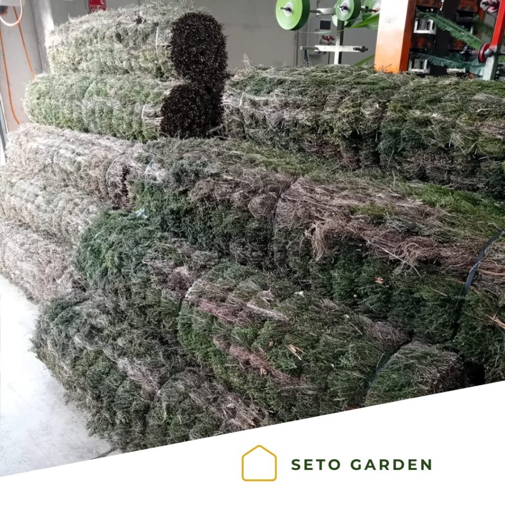 ¿Quieres ver cómo se fabrica el brezo natural que llega a tu jardín?